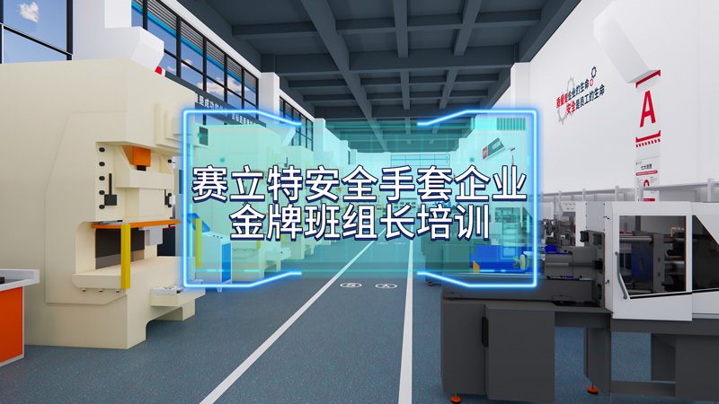 賽立特安全手套企業班組培訓精益案例